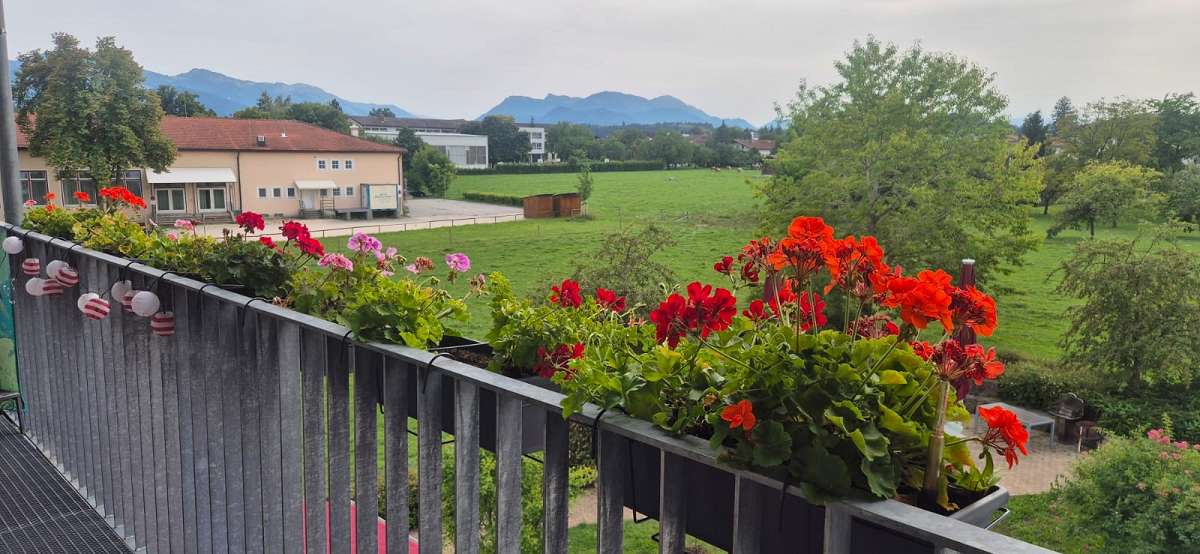 Ausblick Wohnanlage (1)